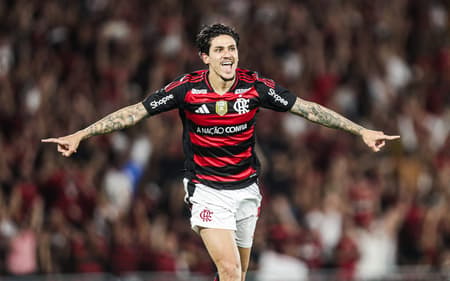 Pedro comemora gol em Flamengo x Vitória (Foto: Gilvan de Souza/Flamengo)